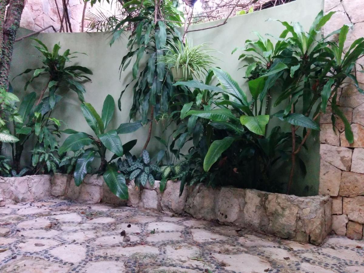 Casa Beard, Spacious Guest House With High Speed Wifi & Pool. Playa del Carmen Exteriör bild