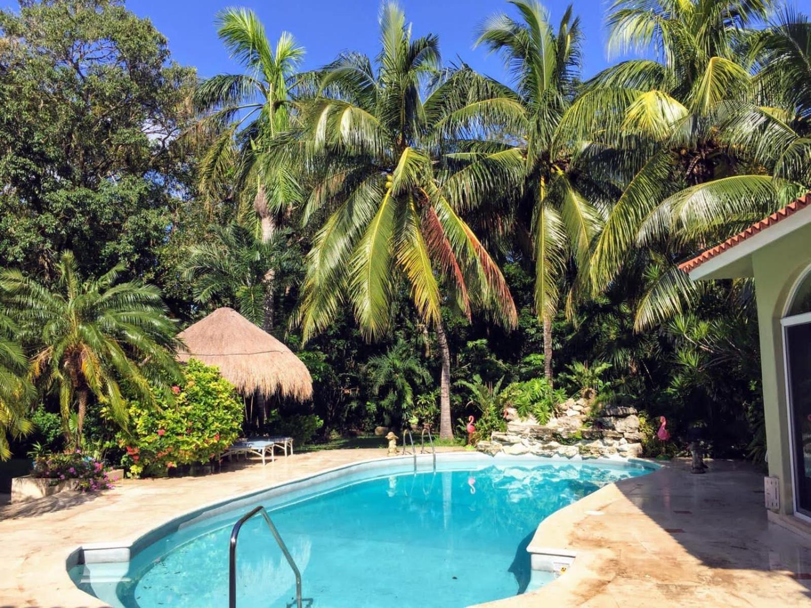 Casa Beard, Spacious Guest House With High Speed Wifi & Pool. Playa del Carmen Exteriör bild